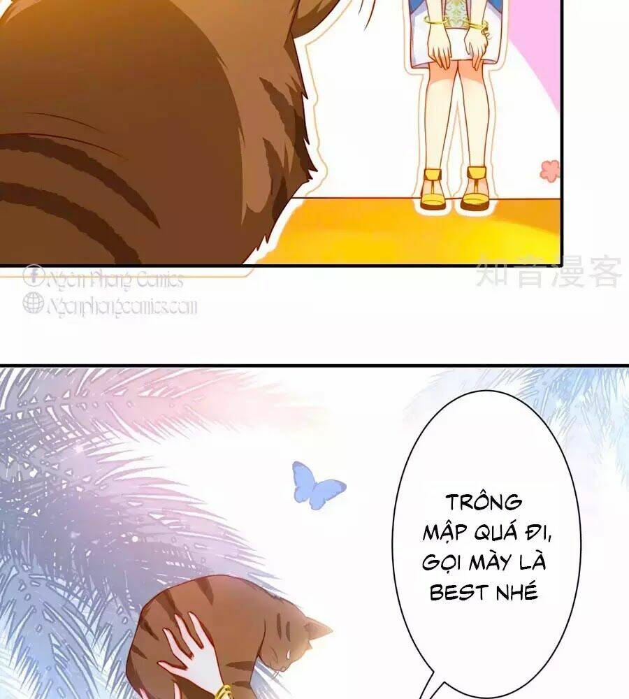 Sủng Hậu Của Vương: Chapter 6