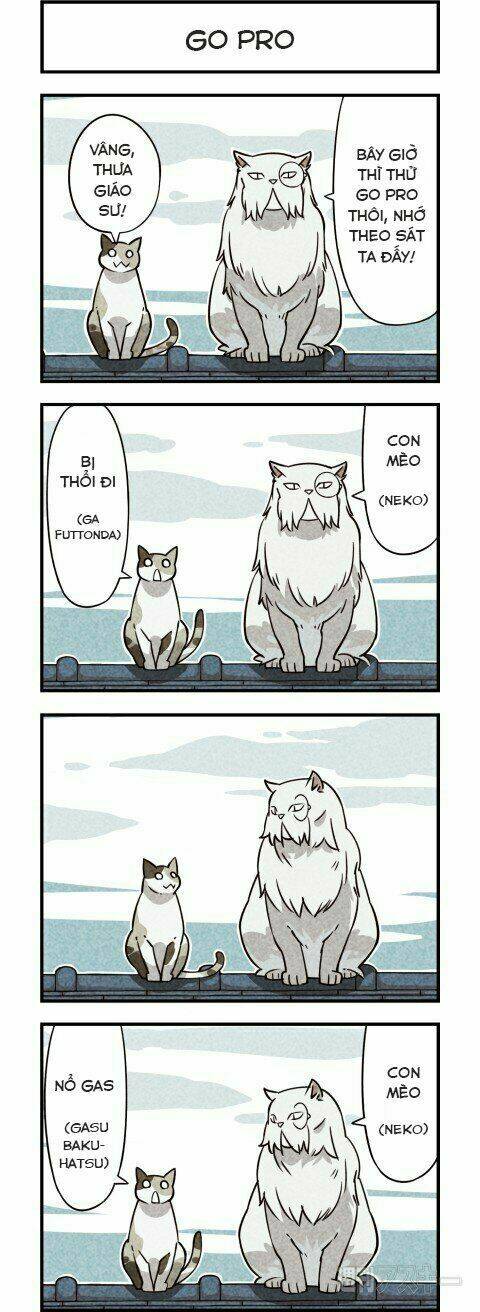 We Are Cat: Chapter 6