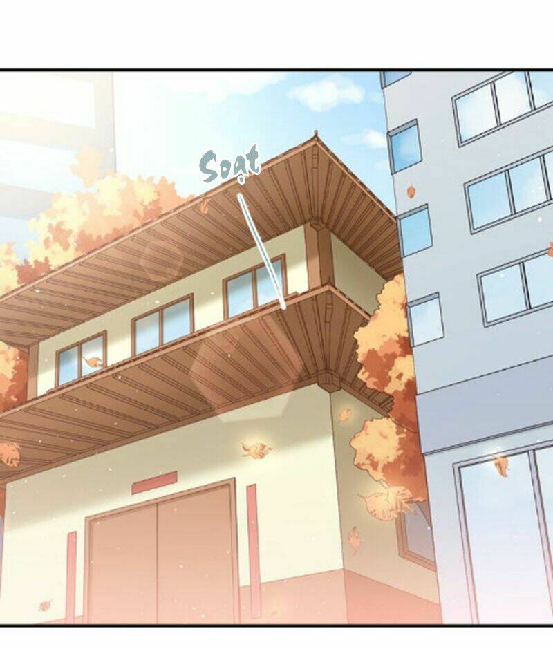 Đầu Gấu Biết Yêu: Chapter 111