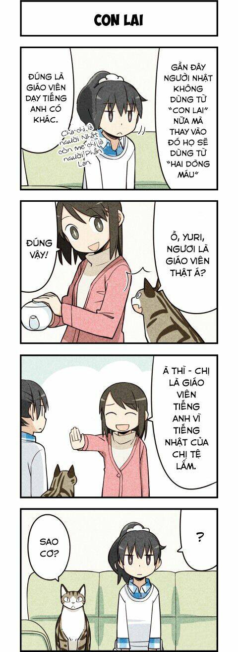 We Are Cat: Chapter 15