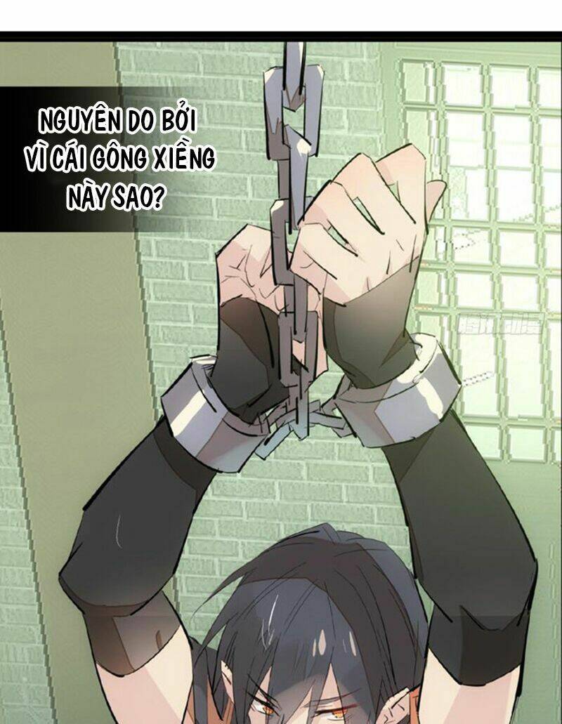 Sư Phụ Lại Trêu Chọc Ta: Chapter 48