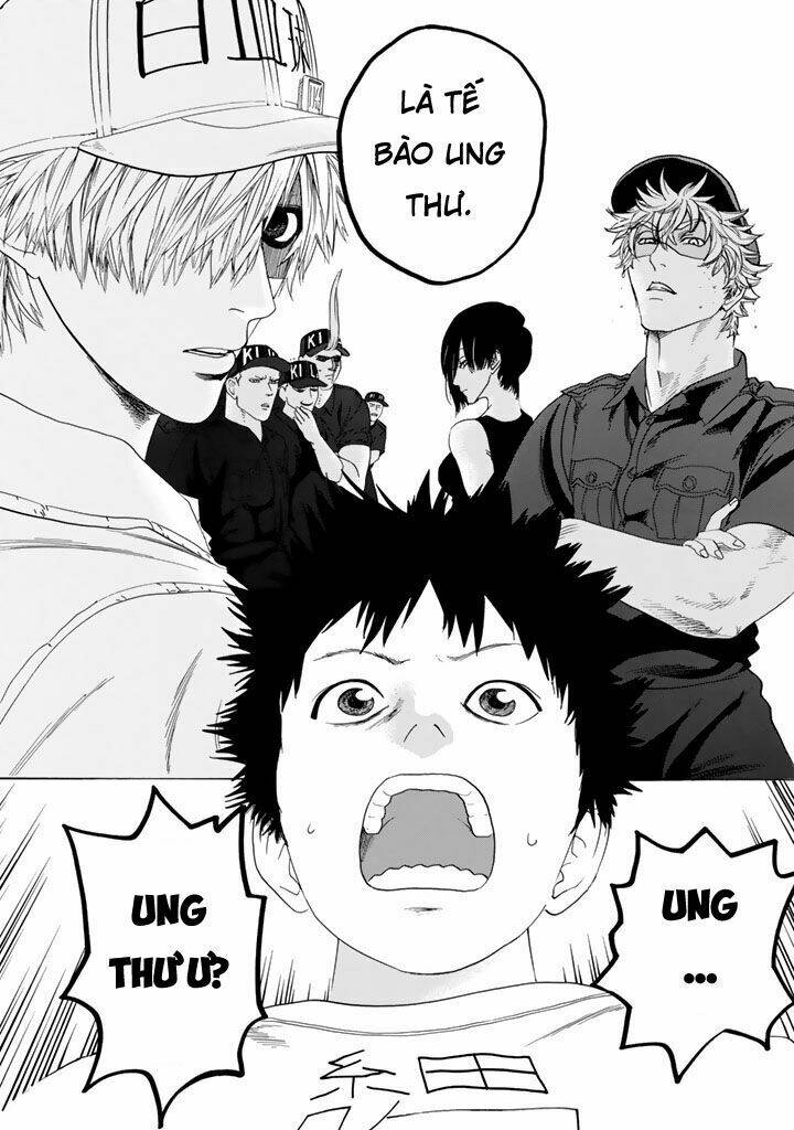 Hataraku Saibou!: Chapter 23