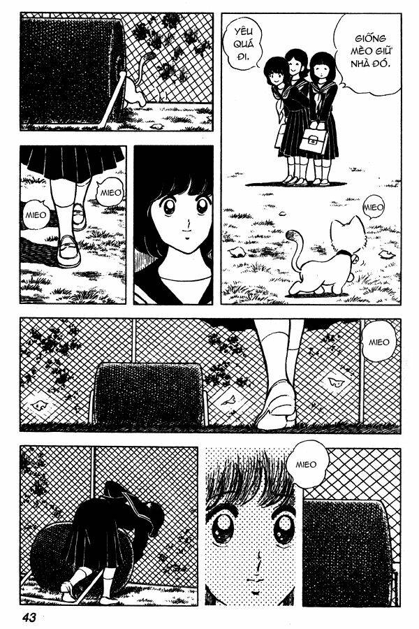 Miyuki: Chapter 55
