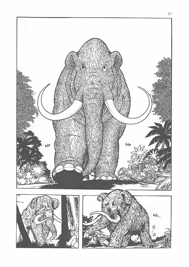 Vua Sư Tử: Chapter 8