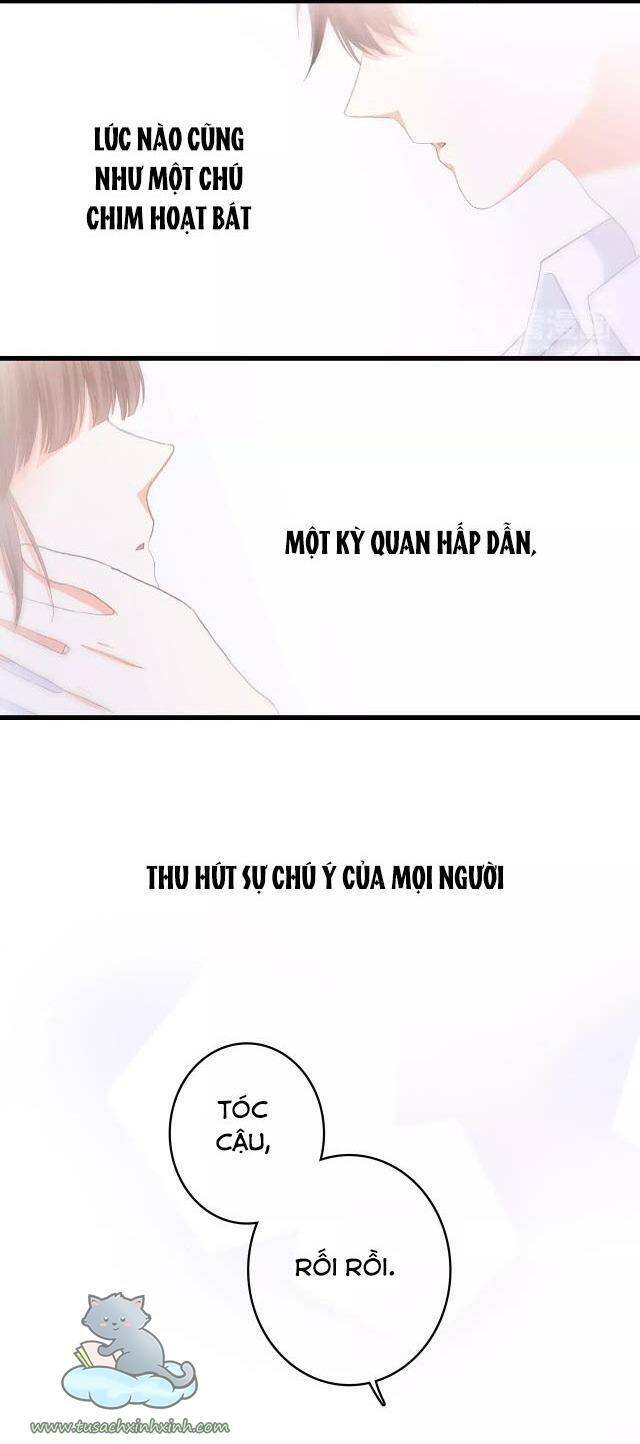Con Tim Rung Động: Chapter 53