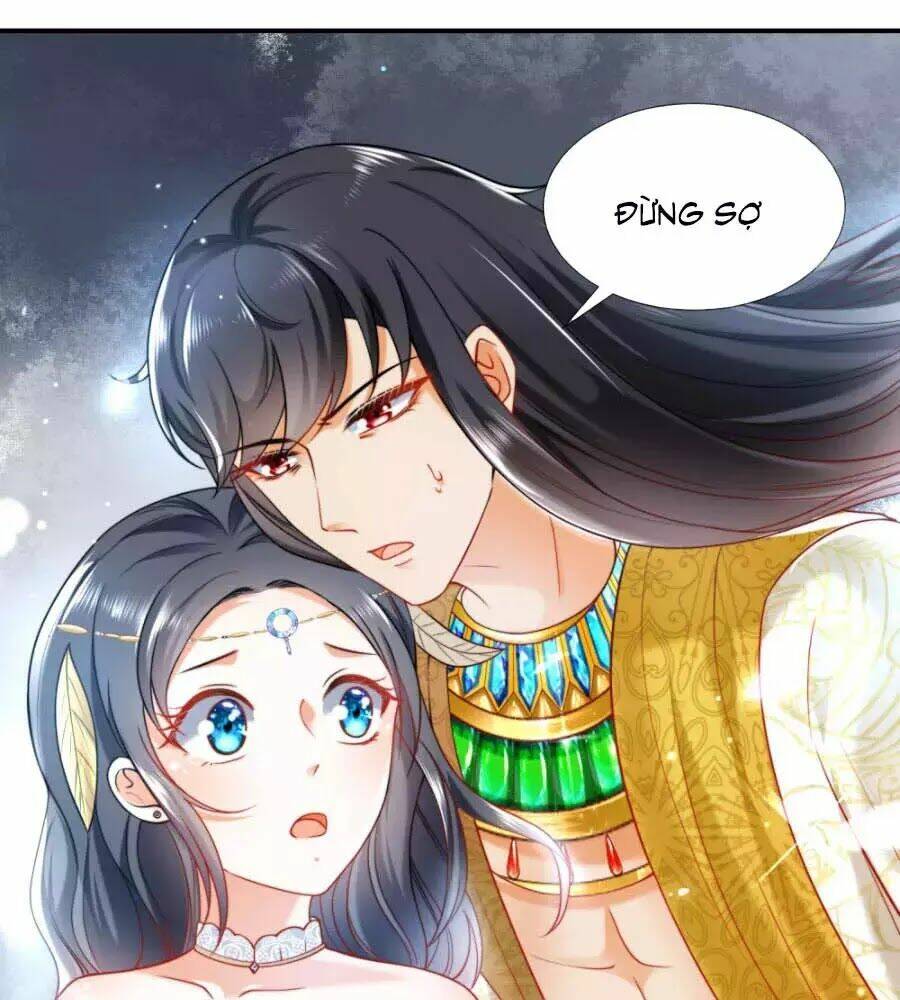 Sủng Hậu Của Vương: Chapter 17