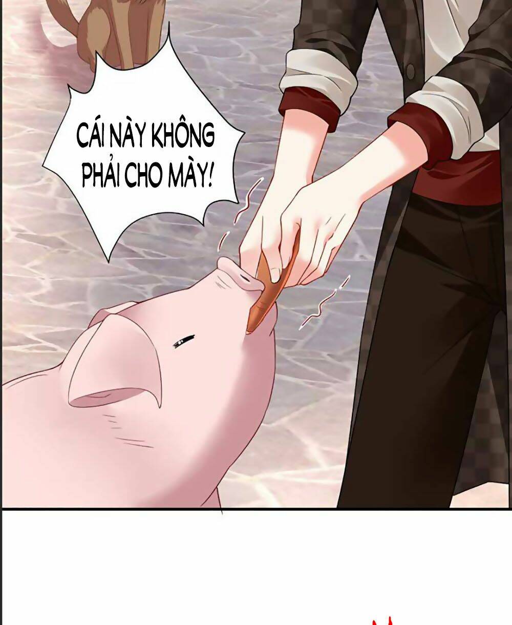 Bạn Trai 1/4 Của Tôi: Chapter 41