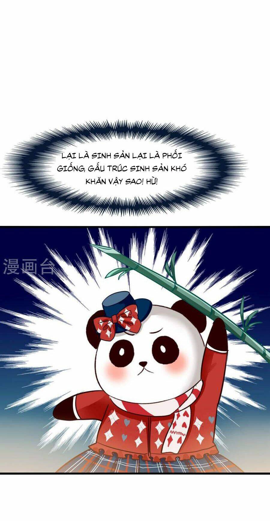 Tôi Bị Gấu Trúc Nhìn Trúng Rồi: Chapter 5