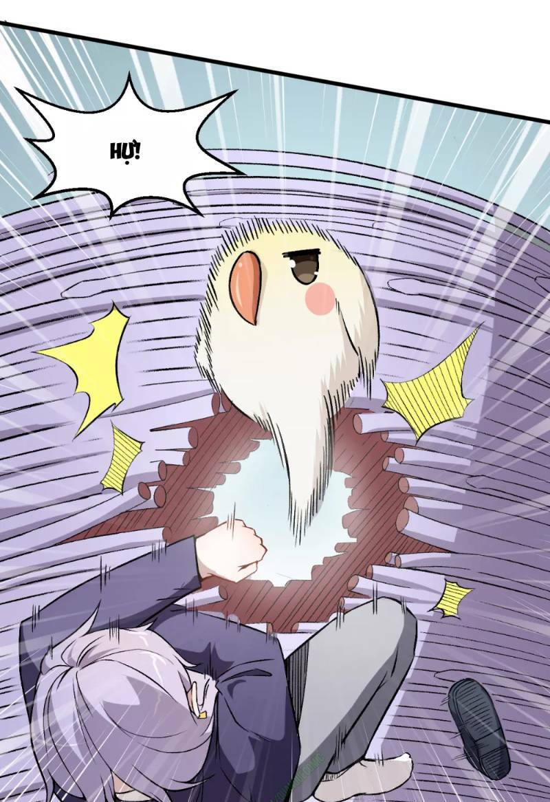 Vườn Trường Cuồng Sư Hệ Thống: Chapter 46