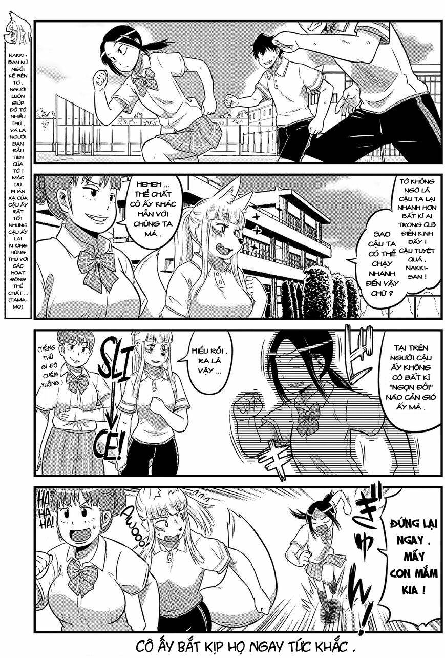 High School Inari Tamamo-Chan: Chapter 12