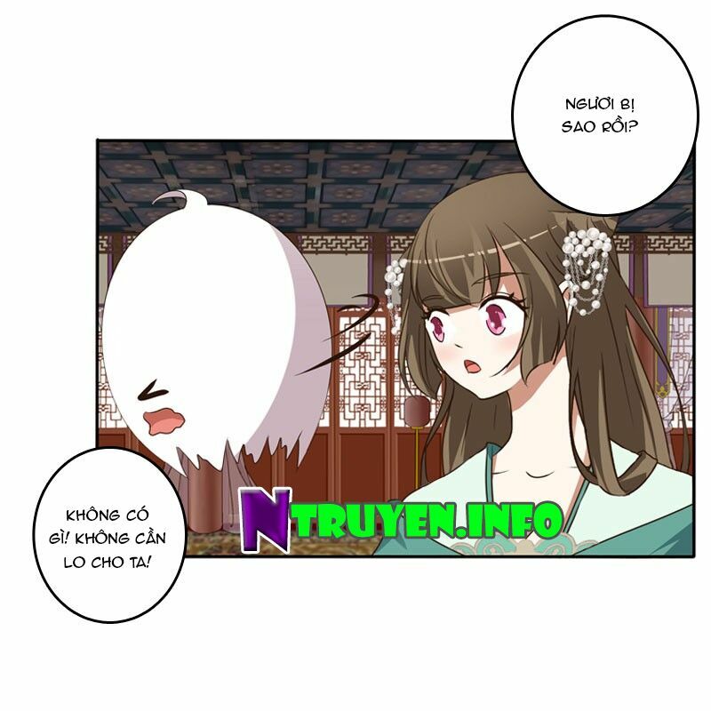 Thông Linh Phi: Chapter 124.5