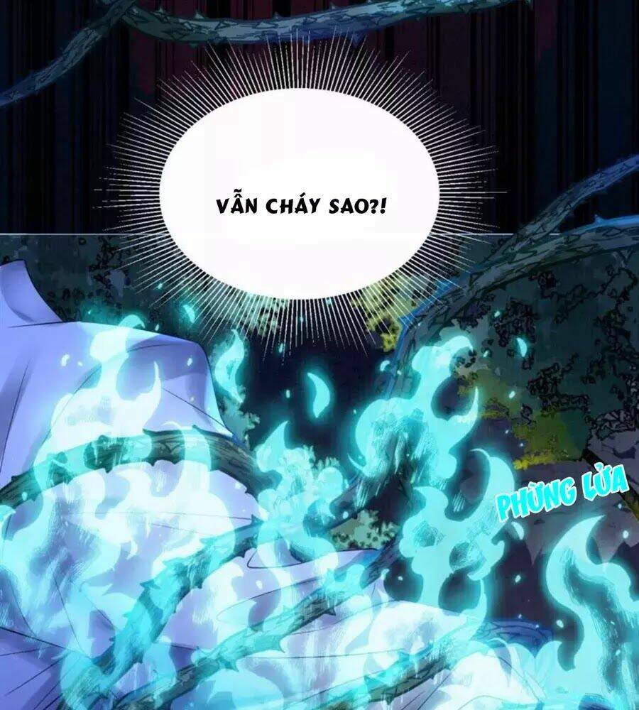 Yêu Long Đại Nhân Của Ta: Chapter 5