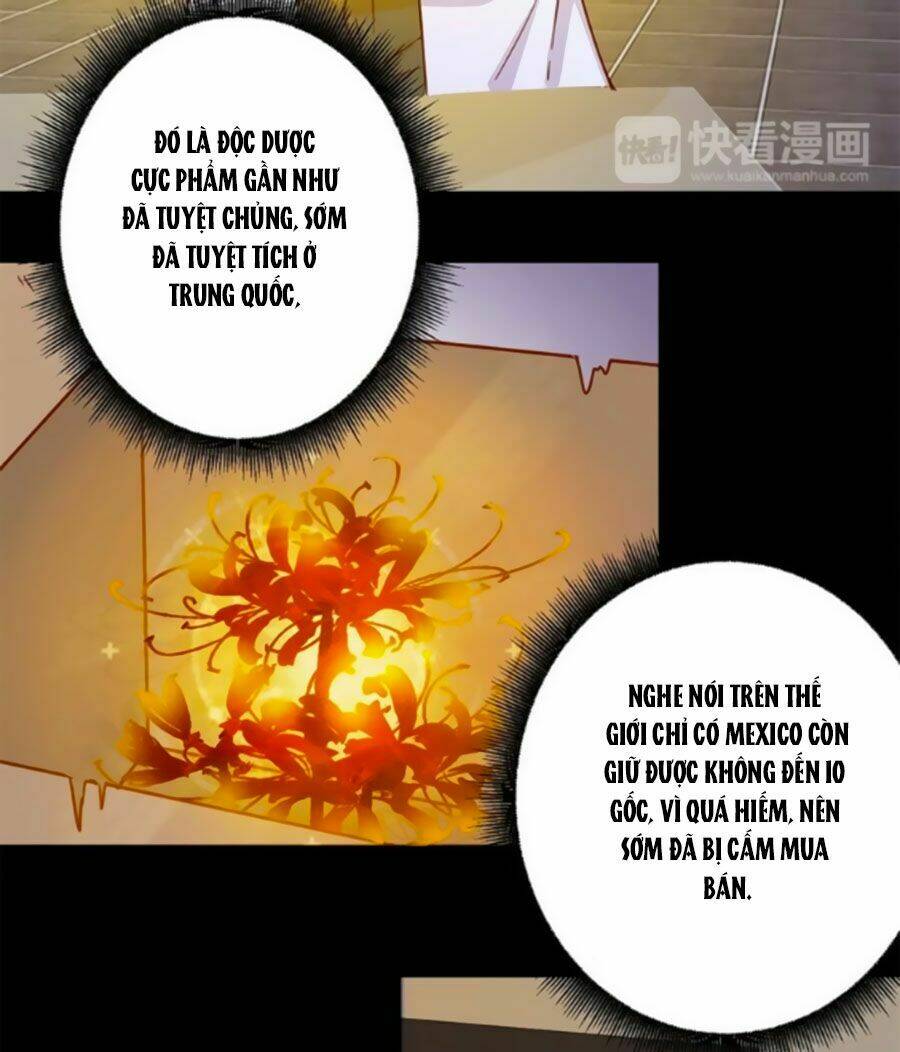 Hoàng Thượng Ở Trên, Thần Ở Dưới: Chapter 1