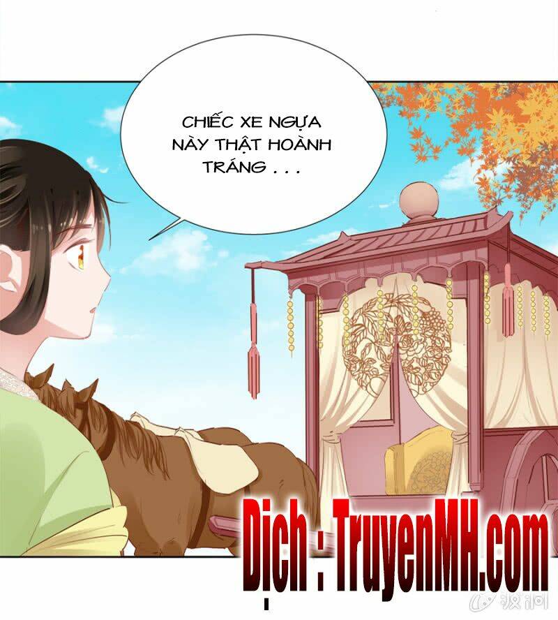 Solo Đi Vương Gia: Chapter 28