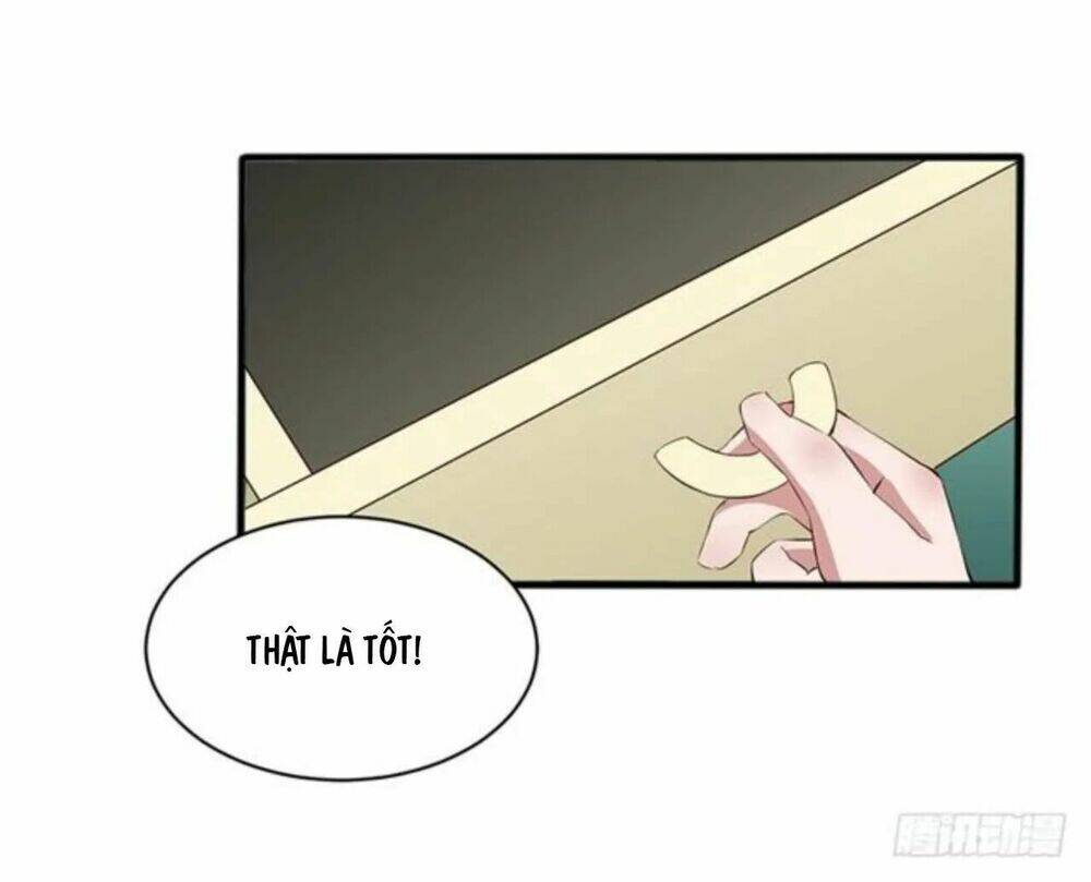 Gửi Người Không Quen: Chapter 5