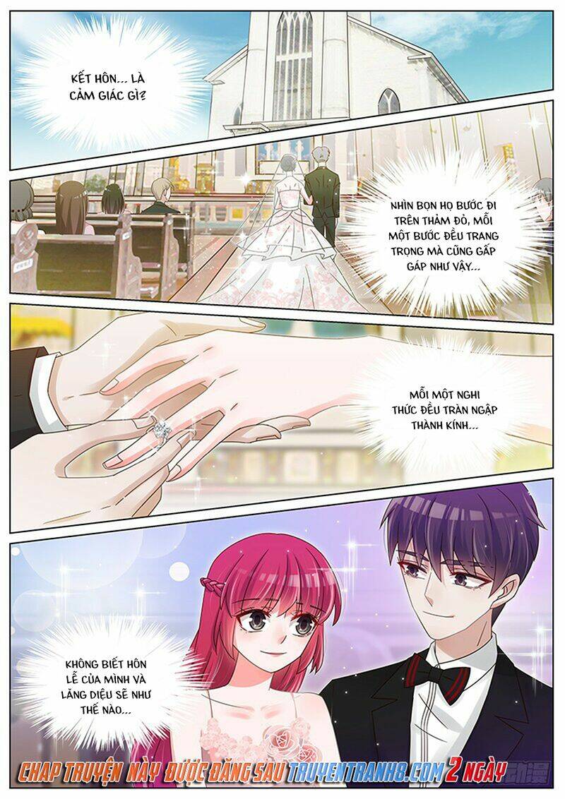 Vương Bài Giáo Thảo: Chapter 211