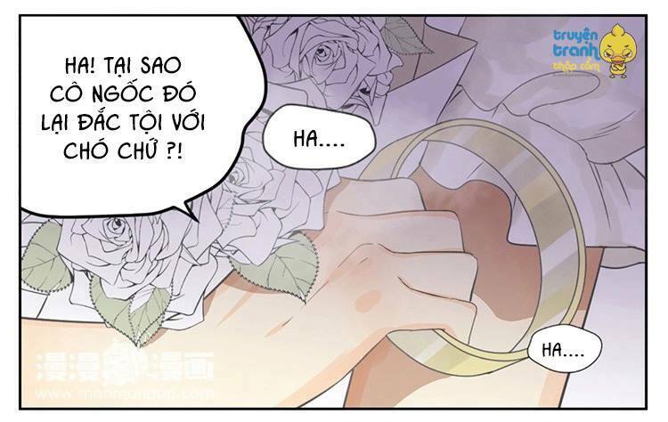 Cứu mạng ! Loài mèo thống trị thế giới rồi !: Chapter 18