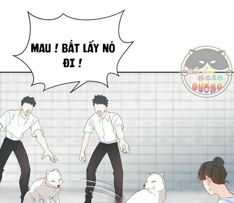 Ảnh Đế Yêu Hồ: Chapter 29