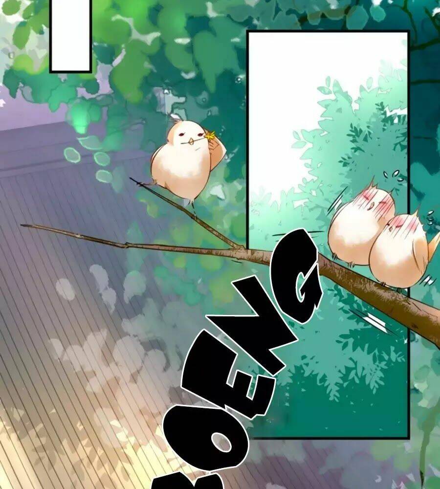 Vương Phi Có Chút Nghịch Ngợm: Chapter 65