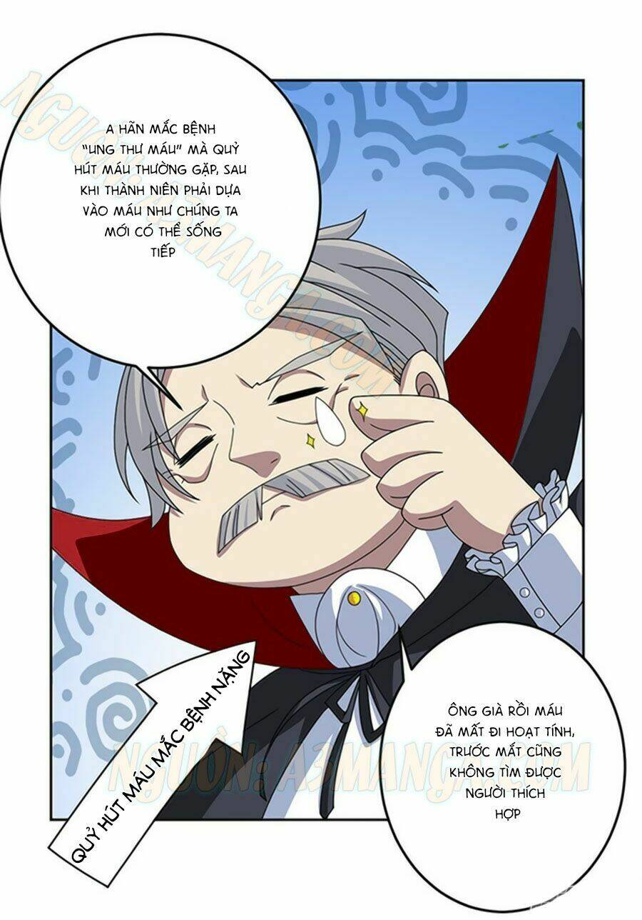 Người Yêu Khát Máu Của Tôi: Chapter 4