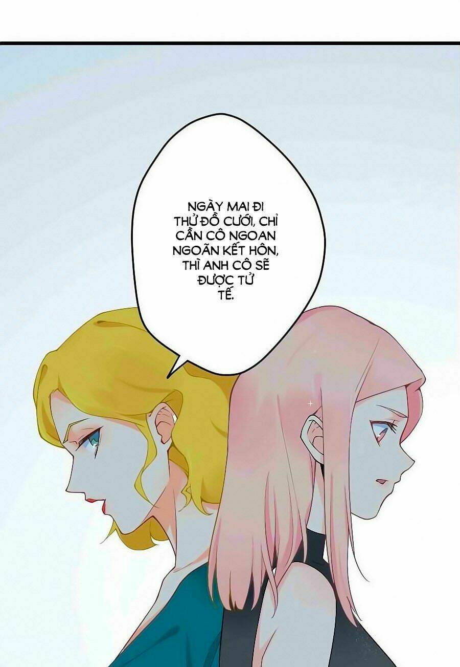 Lãnh Huyết Tổng Tài Đích Tâm Kiên Thê: Chapter 5