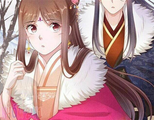 Thịnh Sủng Y Phi Chi Dao Quan Truyện: Chapter 141