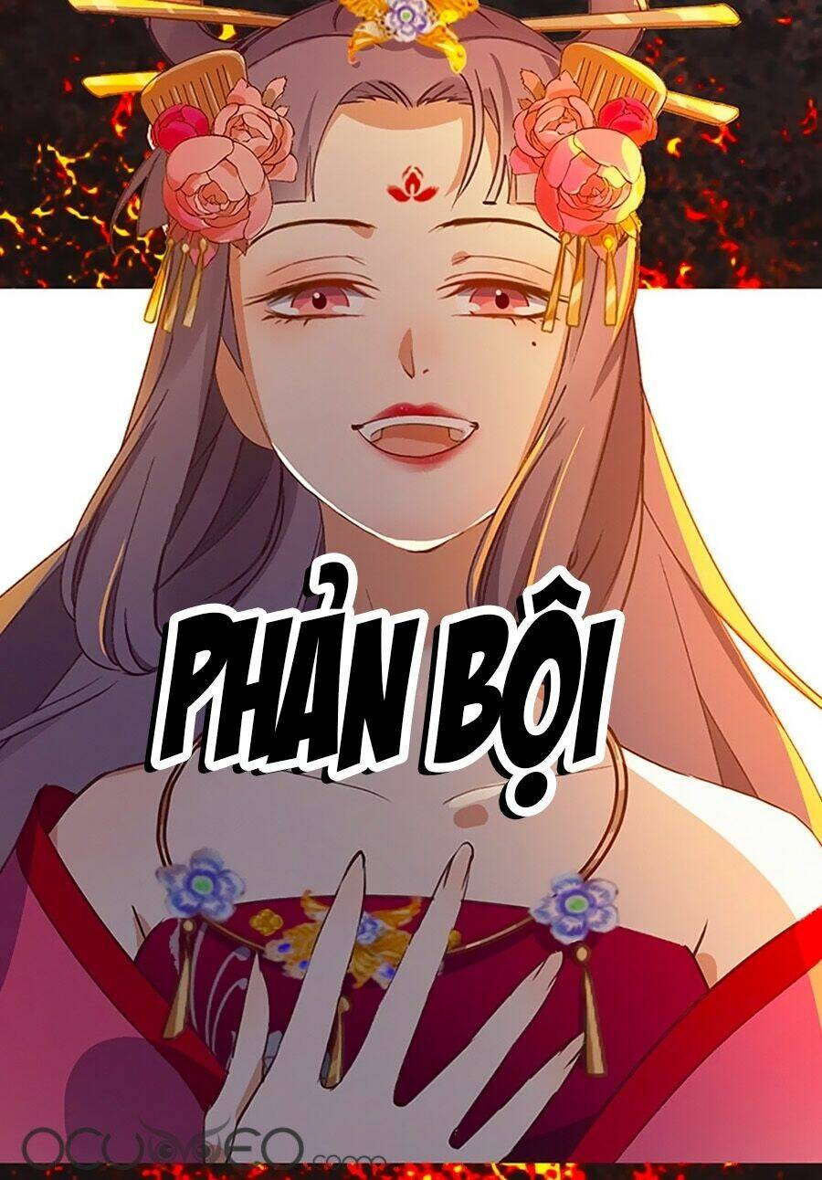 Ngự Thú Linh Phi: Chapter 0