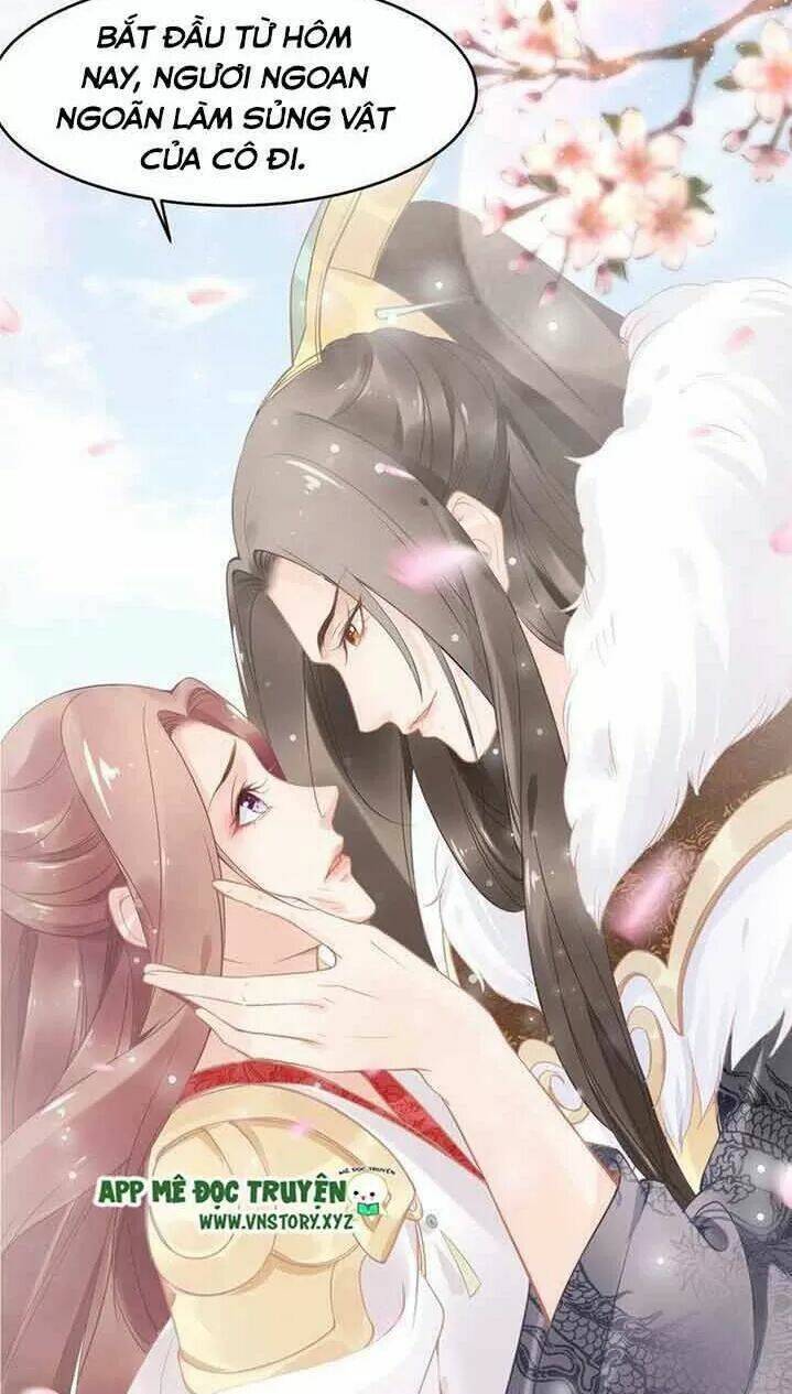 Nhất Sinh Nhất Thế Tiếu Thương Khung: Chapter 14