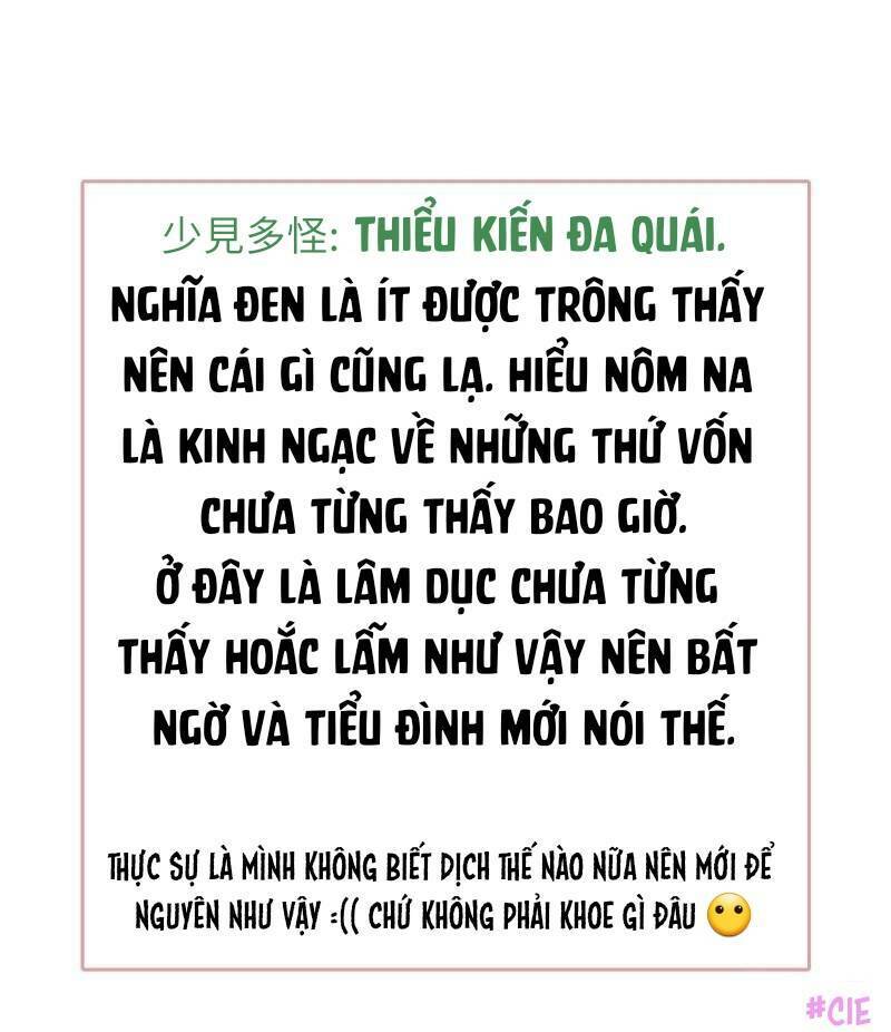 Boss Là Kim Chủ Của Tôi: Chapter 52