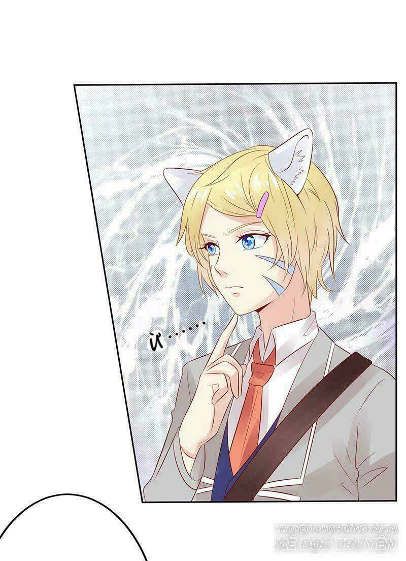 Băng Sơn Học Trưởng Không Được Chọc: Chapter 15