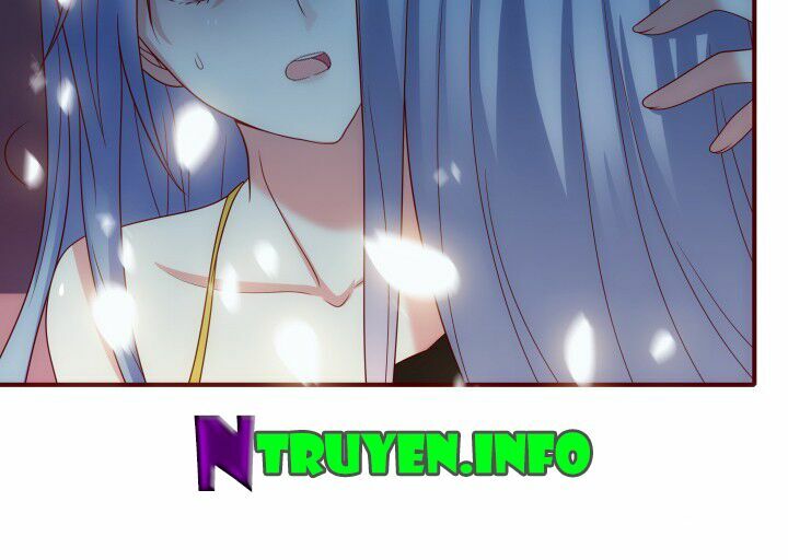 Đô đốc đại nhân sủng thê kí: Chapter 1.4