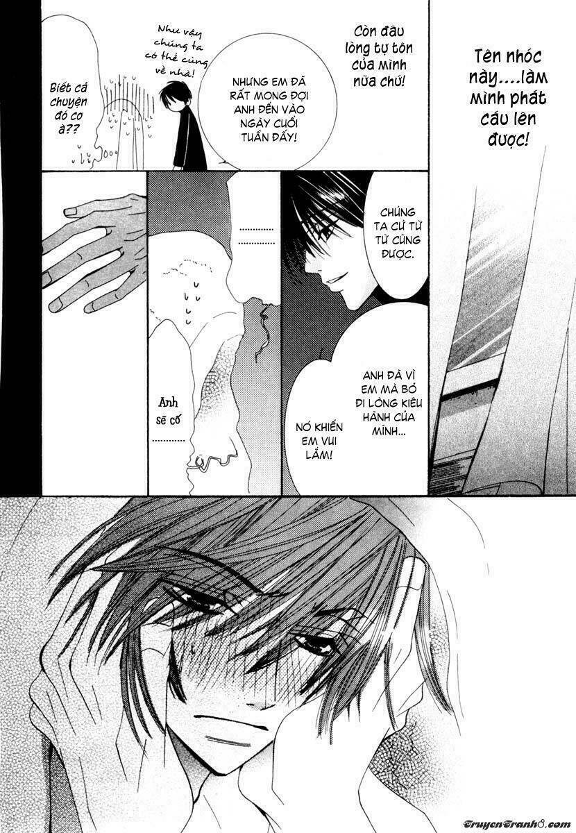 Sự Lãng Mạn Thuần Khiết: Chapter 4