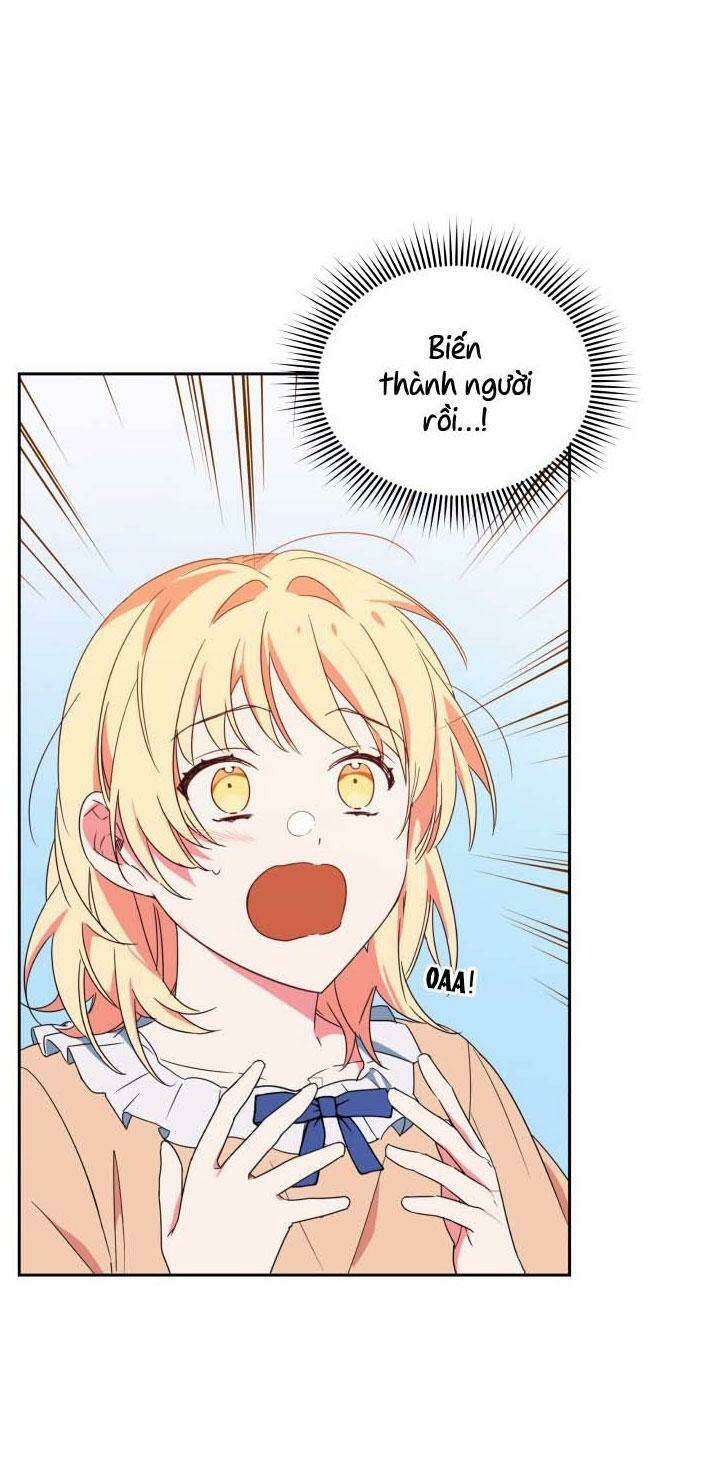 Nàng Elizabeth Thuần Khiết: Chapter 6