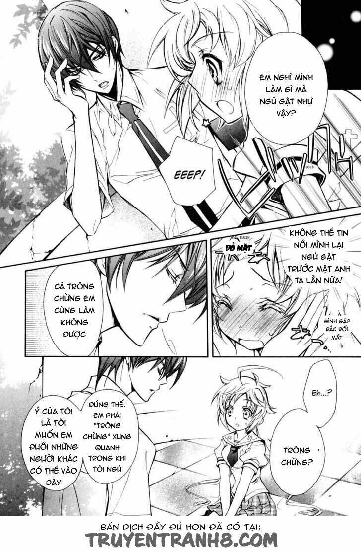 S.L.H (Stray Love Hearts): Chapter 12