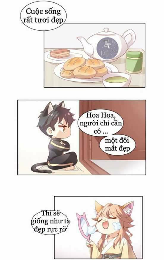 Dưới Móng Vuốt Mèo: Chapter 2