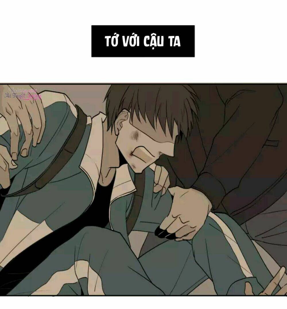 Tâm Chi Kiển: Chapter 5