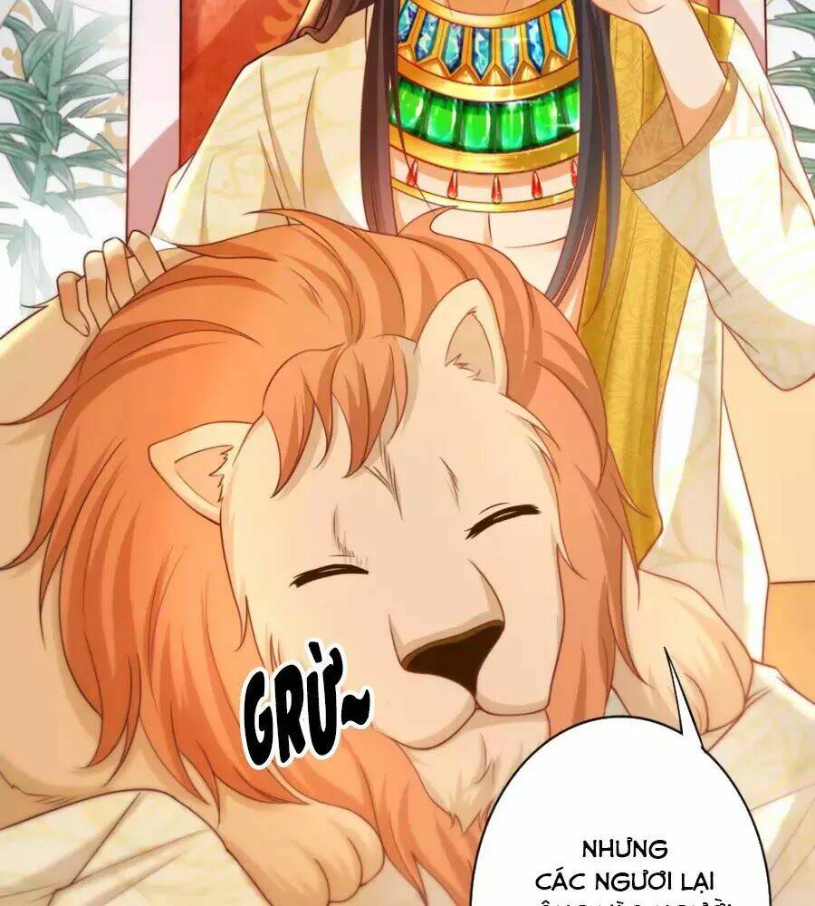 Sủng Hậu Của Vương: Chapter 22