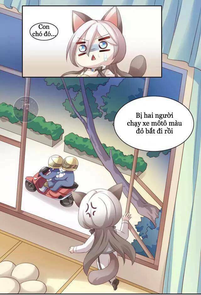 Dưới Móng Vuốt Mèo: Chapter 15