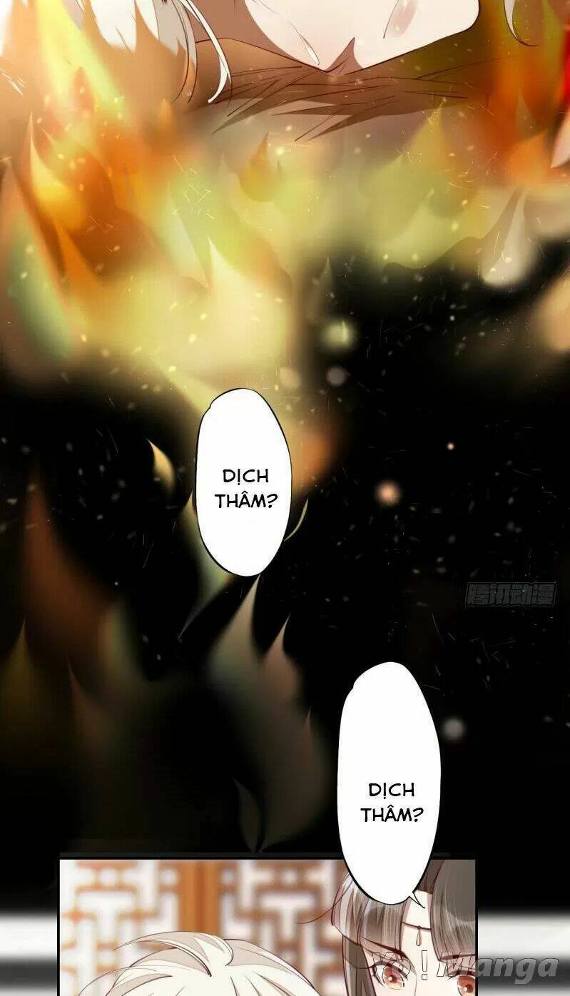 Tuyệt Thế Luyện Đan Sư: Chapter 65